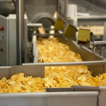 Industrial potato chips on a conveyor belt in a factory setting.