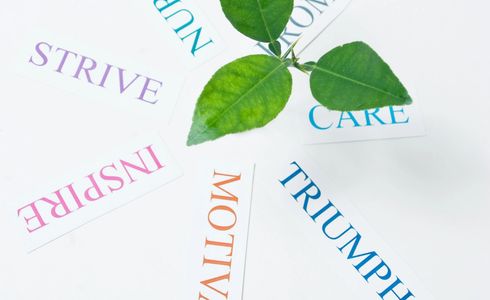 Green leaves surrounded by motivational words on white cards.