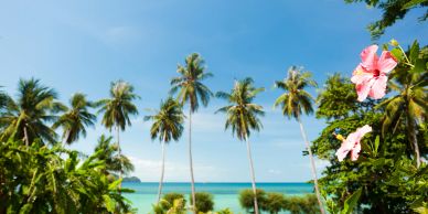 Sandals Summer Loving Sale offers up to $1,000 credit and spa credit with bonus and flexible payment.