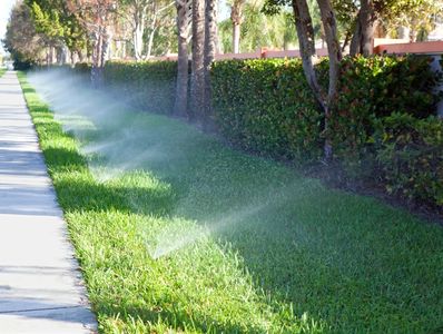 Lawn sprinklers watering grass beside a sidewalk on a sunny day.