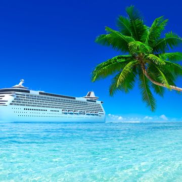 cruise ship in ocean with palm tree in foreground