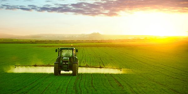 Tractor spraying a green crop field
