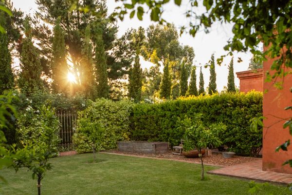 Sophisticated Landscape Design