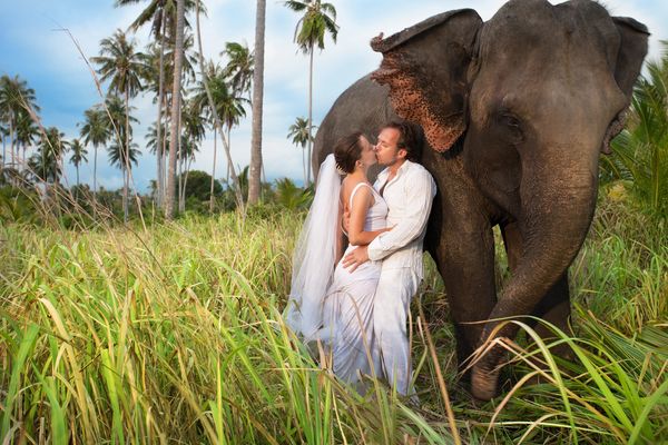 alt="Destination Wedding couple on Safari"
