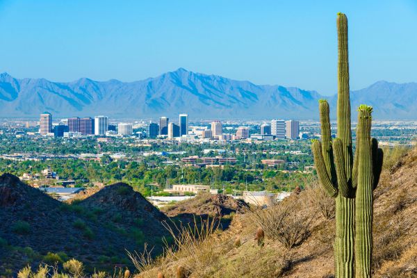 City skyline with mountains and a cactus.