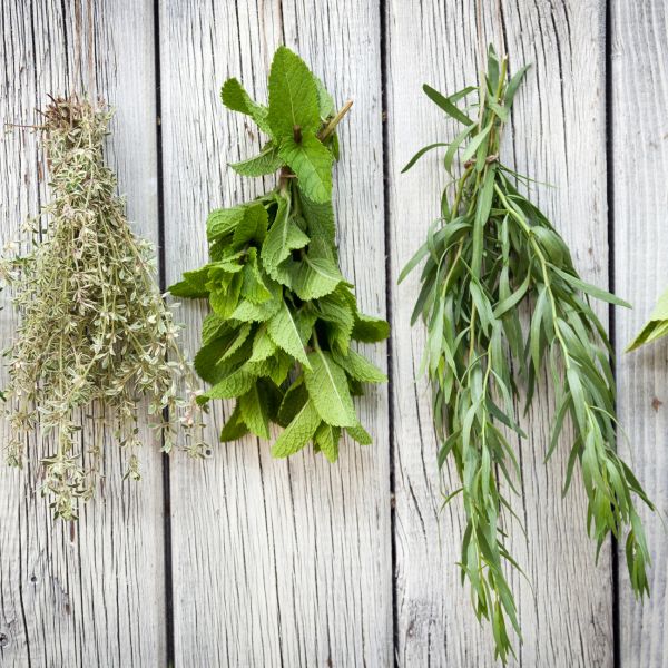 Bundles of various herbs hanging to dry on wooden surface.