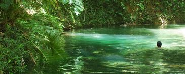 Logo of Tropicalia Tours in front of a waterfall scene.