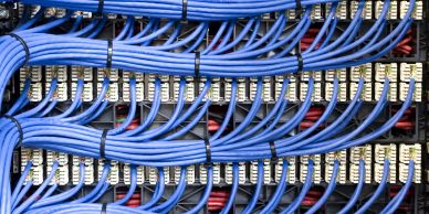 Organized blue network cables connected to a patch panel.