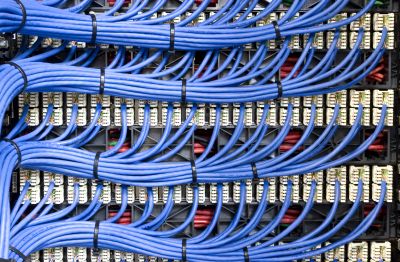 Organized blue network cables connected to a patch panel.