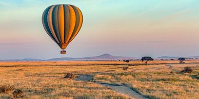 Hot air balloon flying over a savannah landscape.