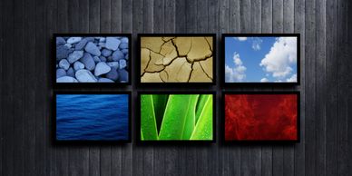 Six framed nature photos on a wooden wall.