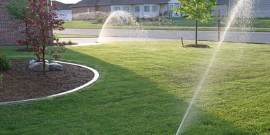 Sprinklers watering a well-maintained suburban lawn on a sunny day.