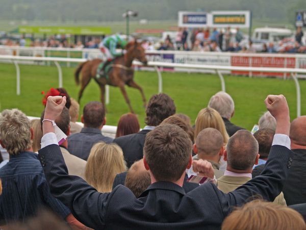 Whiskey Run Stables thoroughbred ownership opportunities