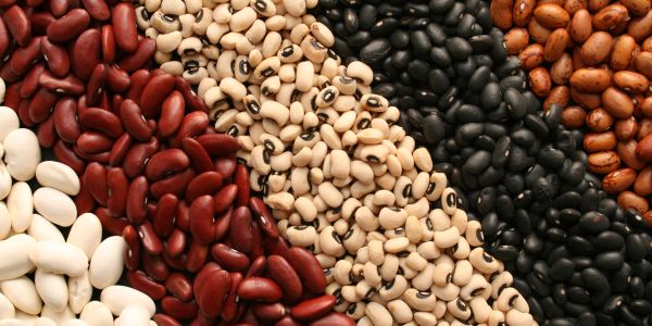 Red kidney beans, black beans, white beans and black-eyed peas arranged in rows.