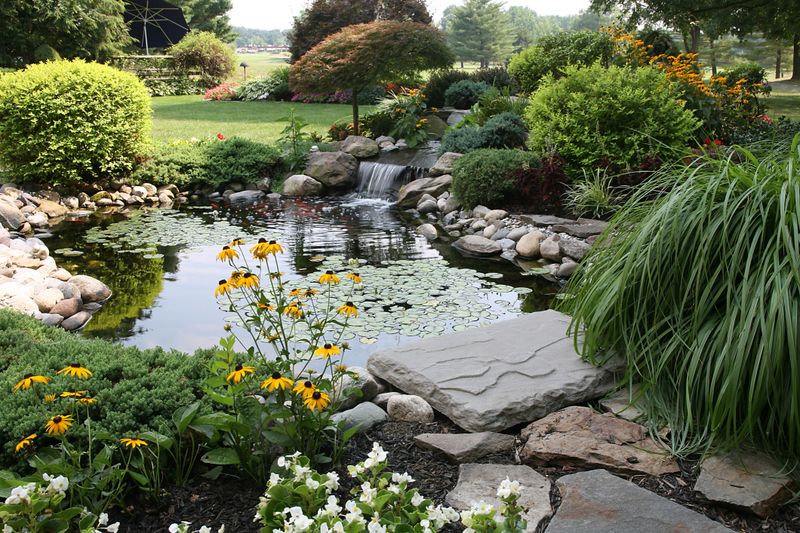 the perfect backyard