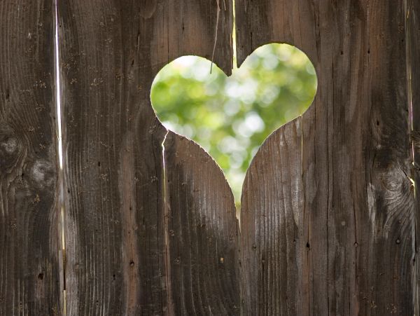 Heart-shaped cutout in wooden fence showing blurred greenery.