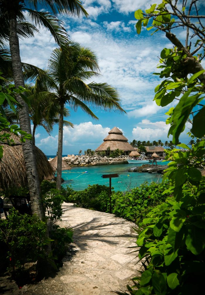 Tropical waterfront with palm trees and thatched huts.