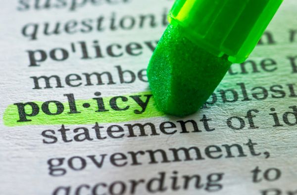 Green highlighter emphasizing the word 'policy'.