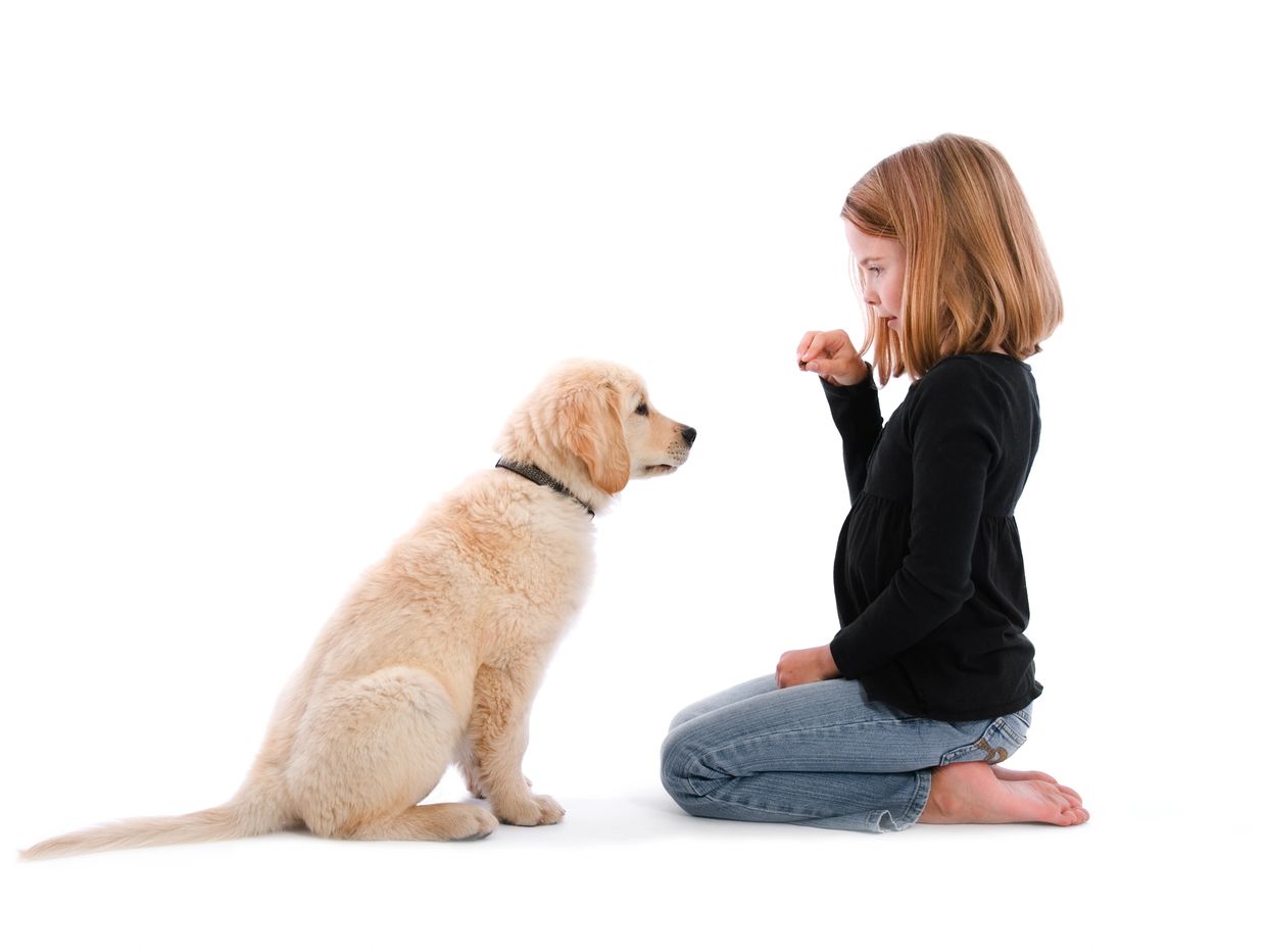 Young girl kneeling in front of puppy with treat in hand.