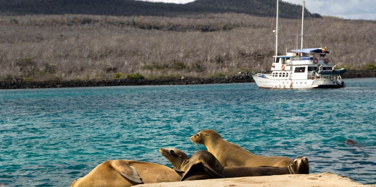 Explore luxurious Galápagos land and sea adventures.