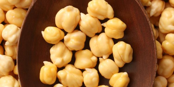 Close-up of Kabuli chickpeas in a wooden spoon.