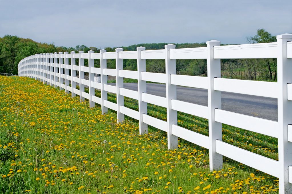 A white fence runs beside a road with yellow flowers in the grass. Fencing Services in Kingsport