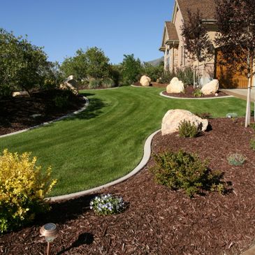 Lawn