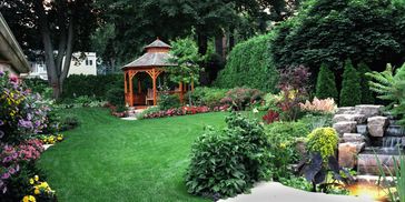 Tree and Shrub Pruning 