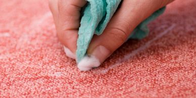 Hand cleaning a red carpet stain with a blue cloth and foam.