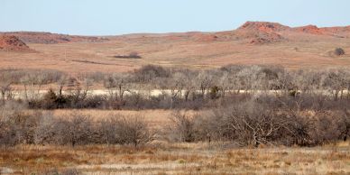 Public & walk-in bird hunting locations.