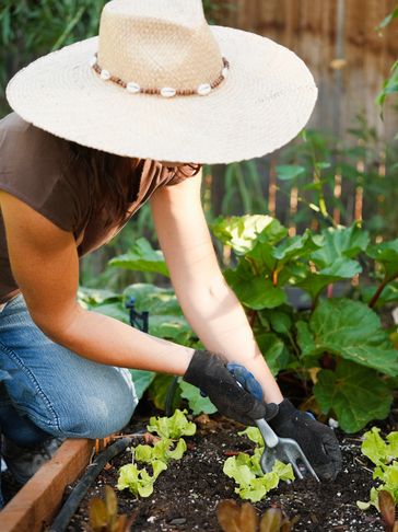 Person gardening with gloves and a wide-brimmed hat in a raised garden bed.
