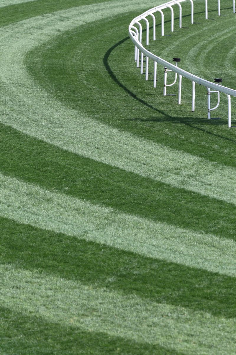 Turf track in Racecourse.