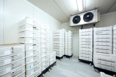 Stacks of white plastic crates in a cold storage room.
