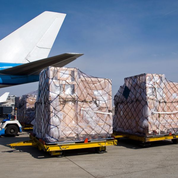 Cargo pallets loaded for air transport on tarmac.