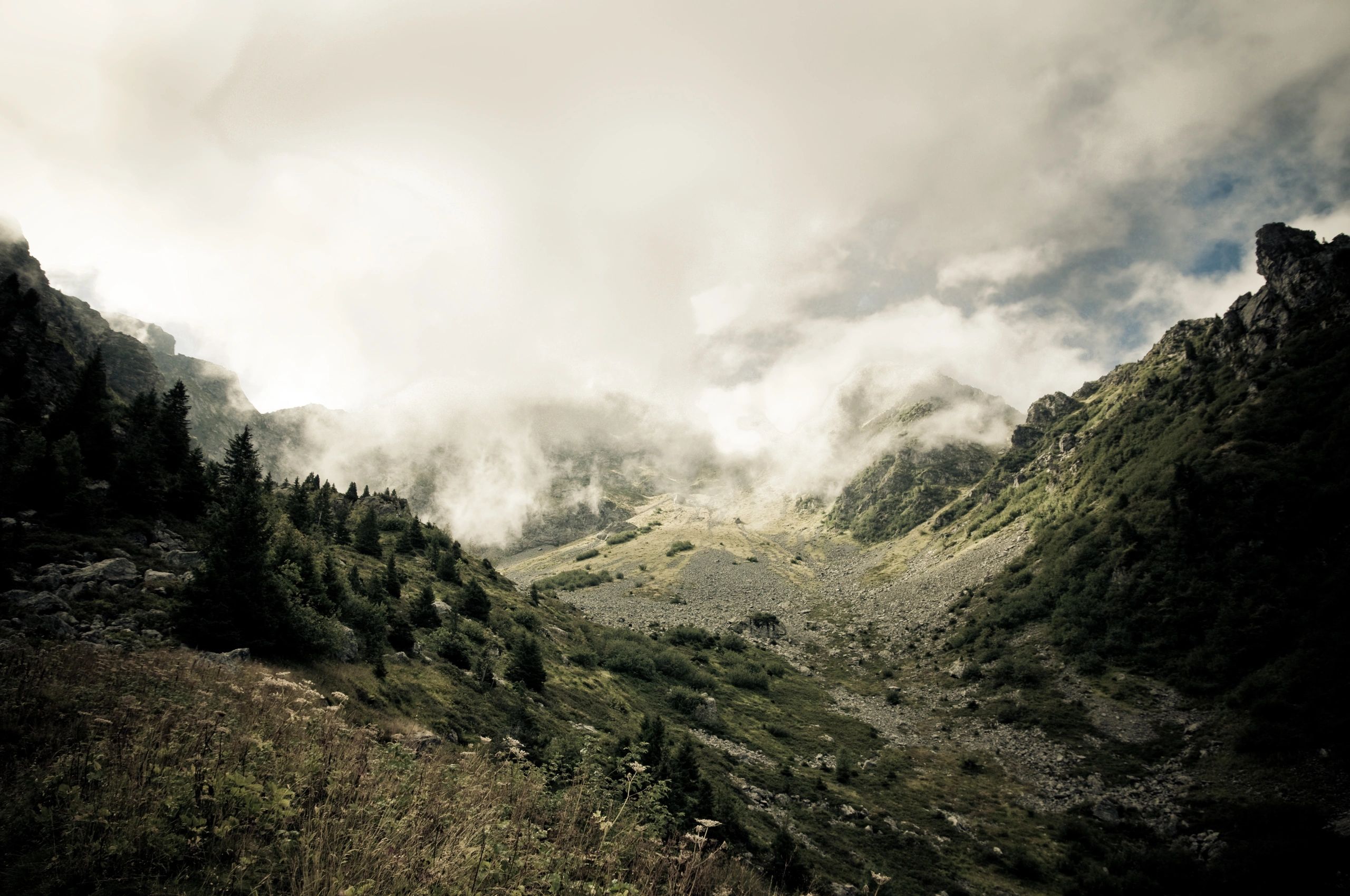 Misty mountain valley with scattered trees and rocky slopes.