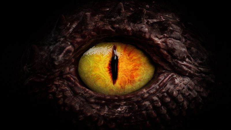 Dragon eye close up