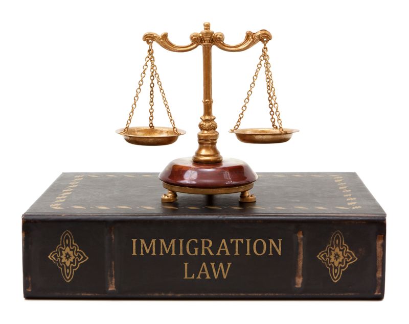 Immigration Law book with justice scale. The book spine is weathered and old looking.