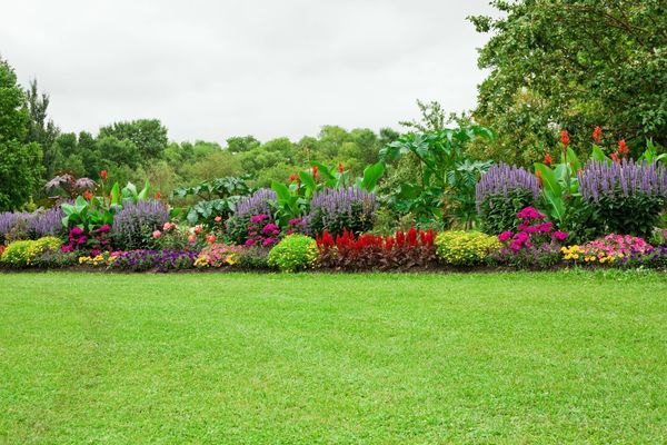 Types of landscaping services in Bangalore including garden design, lawn landscaping and hardscaping