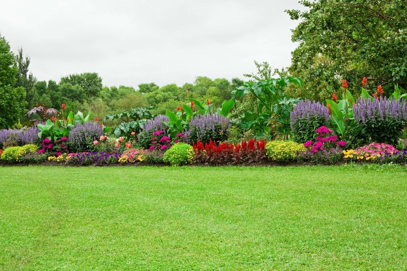 Lush green lawn with vibrant flower beds and neatly trimmed shrubs