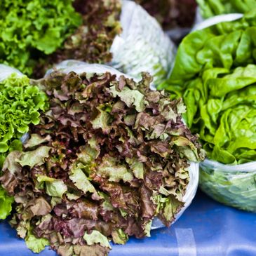 Fresh assorted leafy lettuce varieties displayed for sale.