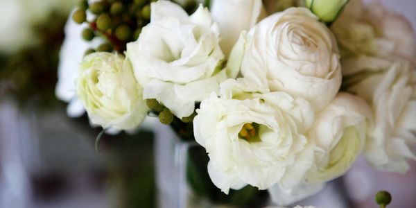 Close-up of a bouquet of white flowers with green buds.