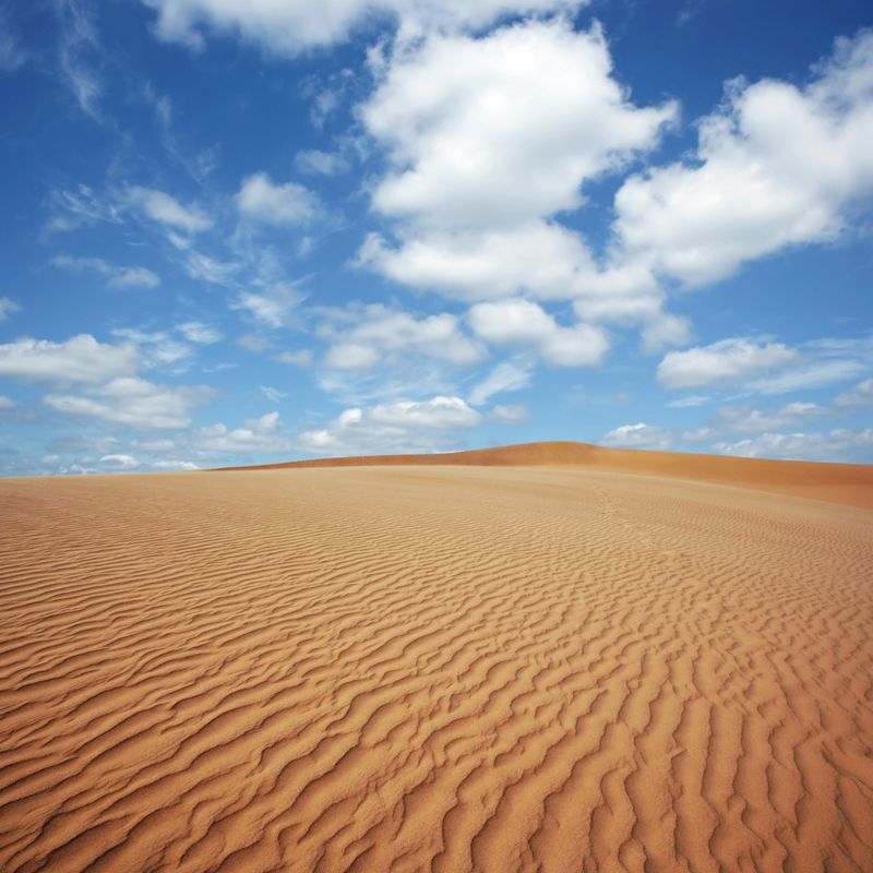 rippled desert sand dunes with bright sky, square frame (XL)