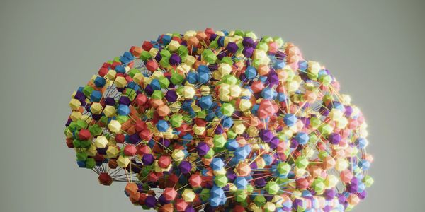 Colorful interconnected nodes forming a brain-shaped network.
