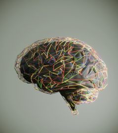 Digital brain with colorful neural network lines.