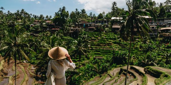 Person with conical hat views lush green terraces.