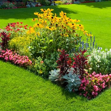 A vibrant flower bed with yellow, pink, red, purple, and white flowers on a lush green lawn.