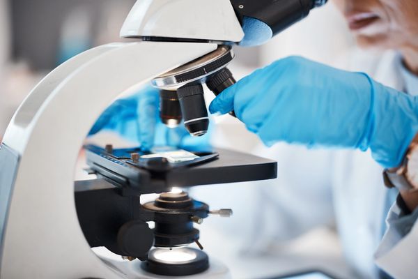 A close-up view of a scientist's gloved hand adjusting the lens of a laboratory microscope.