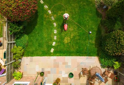 Overhead view of a Summer garden