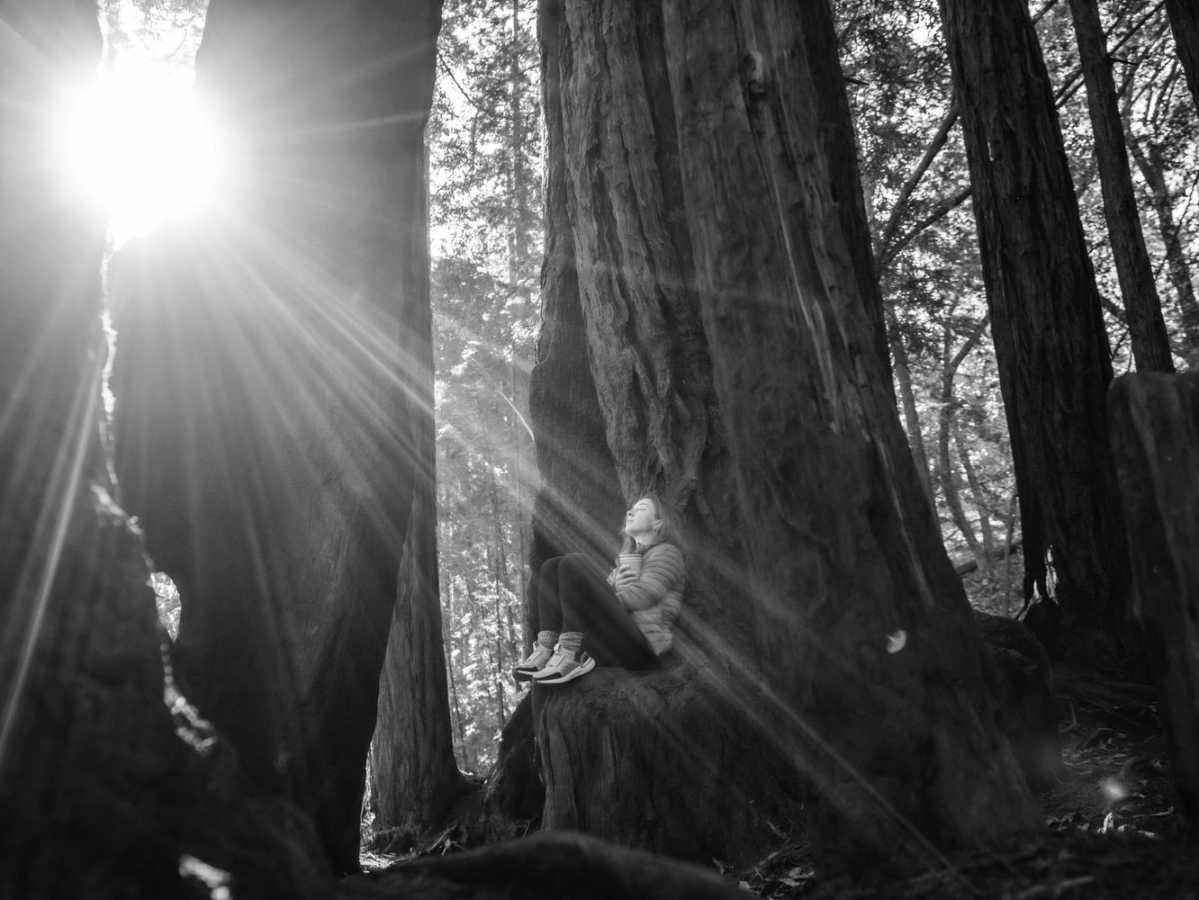 Woman enjoying morning sunlight while sitting on a tree root in a forest.