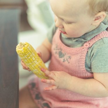 Child holding and eating corn on the cob.